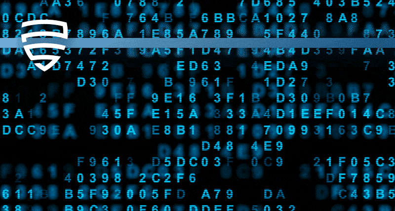 How does the Leica Data Security feature work?